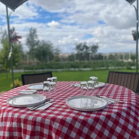 The House In The Nature