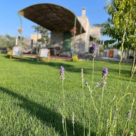 The House In The Nature Villa *