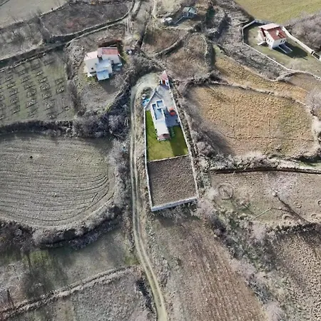 The House In The Nature Villa