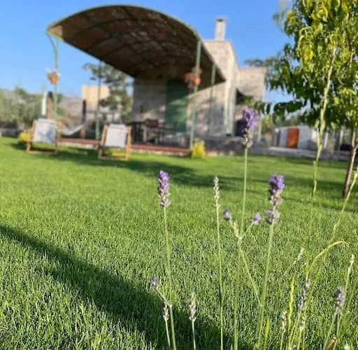 The House In The Nature Villa *