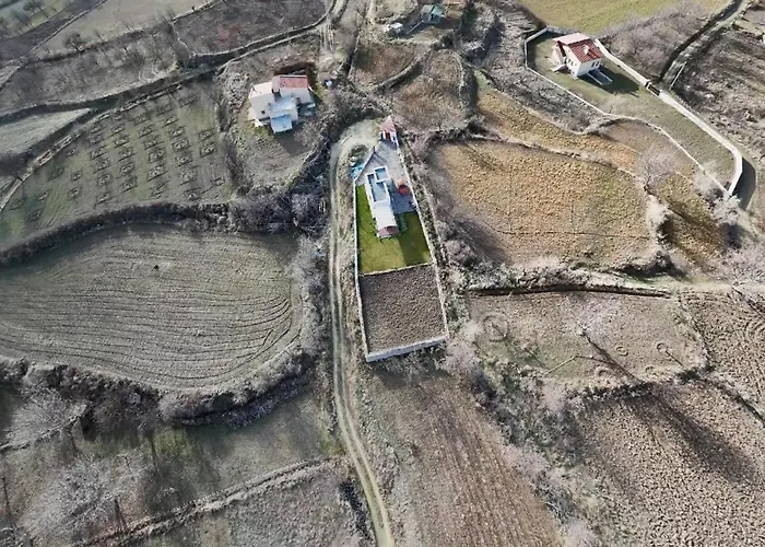 The House In The Nature Villa